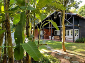 Recanto para relaxar com a natureza e os pássaros